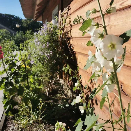 Warmia House فيلة *